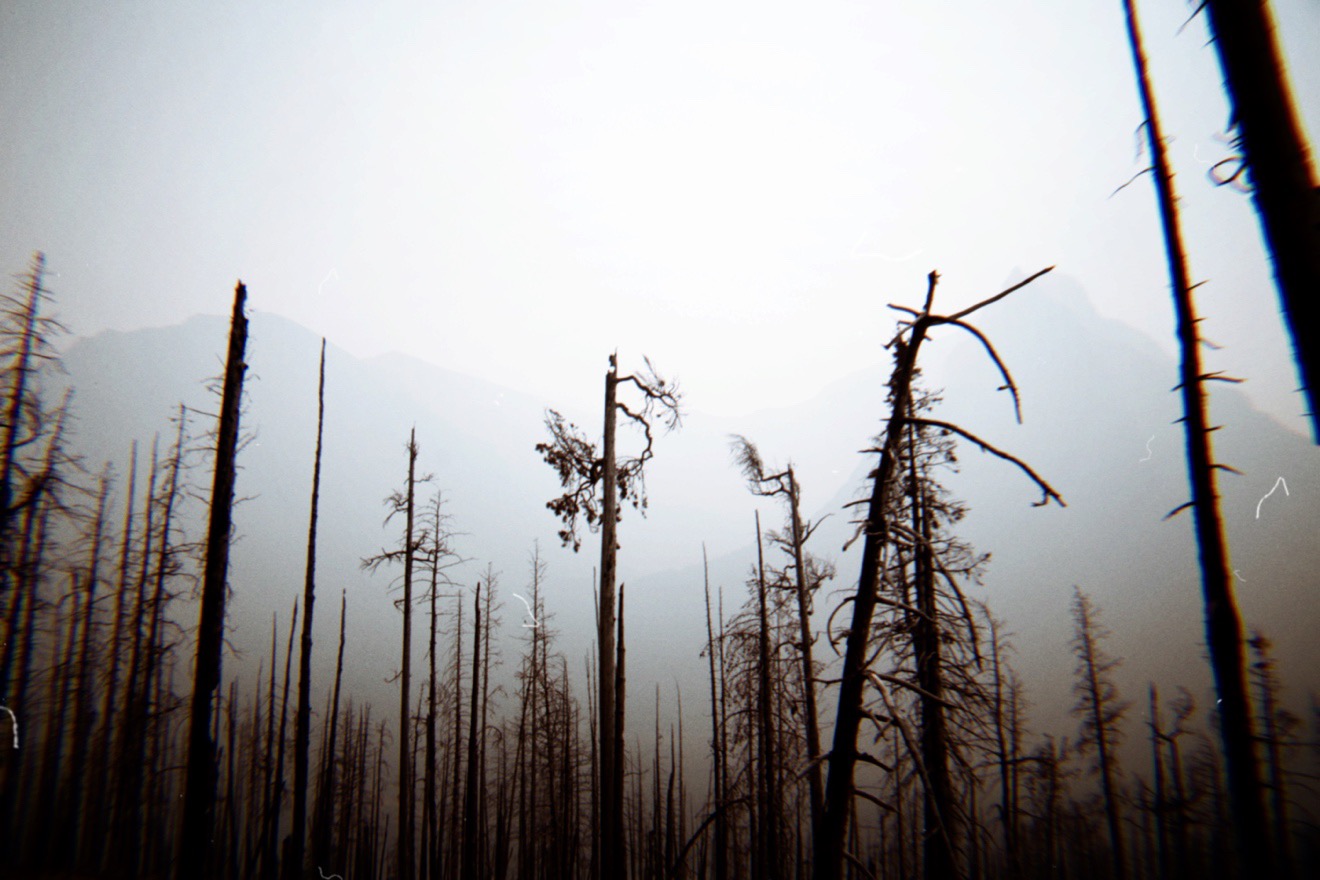 a photograph of a burned down forest in glaicer national forest with mountain sillhouettes in the back of the smoke